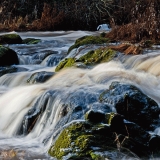 Myllykoski rapids