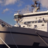 The Finnish seal in the icebreaker Otso's bow