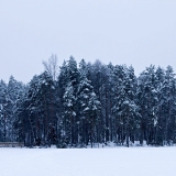 Holma-Saarijrven saari