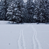 Two ski tracks at lake Holma-Saarijrvi