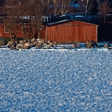 A house on Tiiraluoto