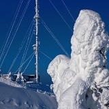 Packed snow on a tree next to a TV mast