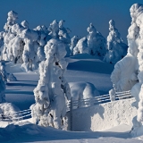 A snowy fence