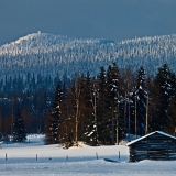 A barn