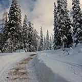 A snowy road at Kumpuvaara