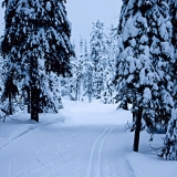 A ski track at Valtavaara