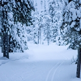 A ski track at Valtavaara