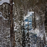 Aallokkokoski rapids in Kitkajoki river at Oulanka national park in Kuusamo