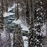 Aallokkokoski rapids in Kitkajoki river at Oulanka national park in Kuusamo