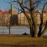 Tokoinranta park in spring