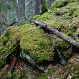 Cliffs covered by moss