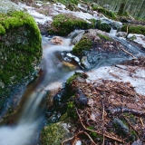 A creek in spring