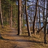 Esker scenery at Kallahdenniemi