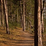 Esker scenery at Kallahdenniemi