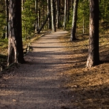 Esker scenery at Kallahdenniemi