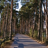 Esker scenery at Kallahdenniemi