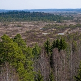 Scenery from the Kiljamo observation tower at Torronsuo national park