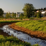 A ditch in Pikku-Huopalahti park