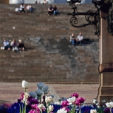 Planted flowers at Alexander II:n statue