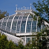 A greenhouse at the botanical garden