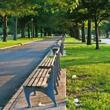 Benches at Flushing Meadows park