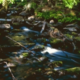 Korkeakoski rapids