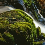 Korkeakoski rapids