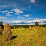 Haystacks