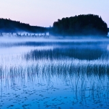 Foggy Paanajrvi lake