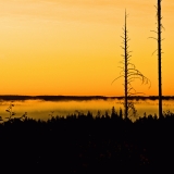 Fog on Lieksajoki river