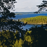 Lake Pielinen and its islands seen from Koli