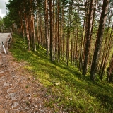 Petkeljrvenharju esker