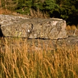 A rock at Pampskatan