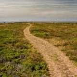 Salpausselk ridge at Jurmo