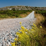 The only drivable road at Jurmo, Hgberget in the background