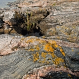 Glacially abradett rock at Moringharu