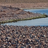 A stony beach