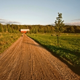 Ilmolanraitti at Viikinojanpuisto park