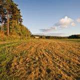 A field at Viikinojanpuisto park