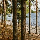 Pulkkilanharju at Pijnne national park