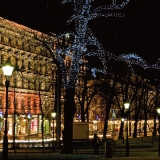 Illuminated trees at Esplanadi park