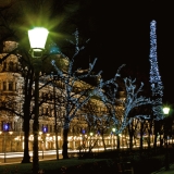 Illuminated trees at Esplanadi park