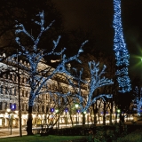 Illuminated trees at Esplanadi park