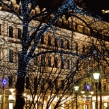 Illuminated trees at Esplanadi park