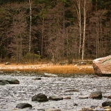 Shoreline at Srkkniemi