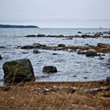 Shoreline at Srkkniemi