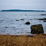 Shoreline at Srkkniemi