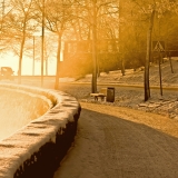 Ehrenstrmintie street bathing in the sun