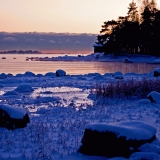 Skatanniemi at winter