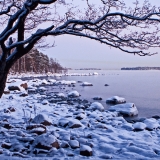 Skatanniemi at winter